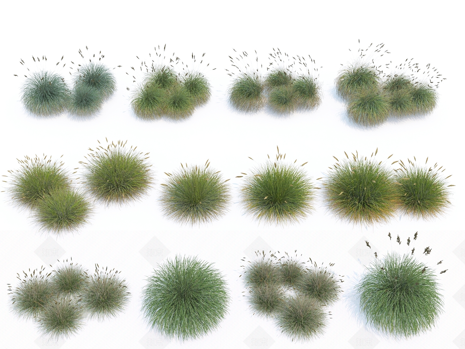 景观植物3D模型下载【ID:1115883778】