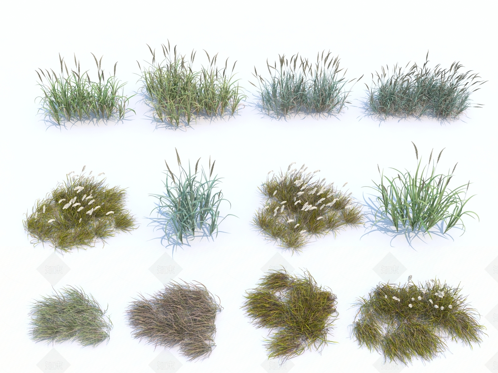 草3D模型下载【ID:1115893415】
