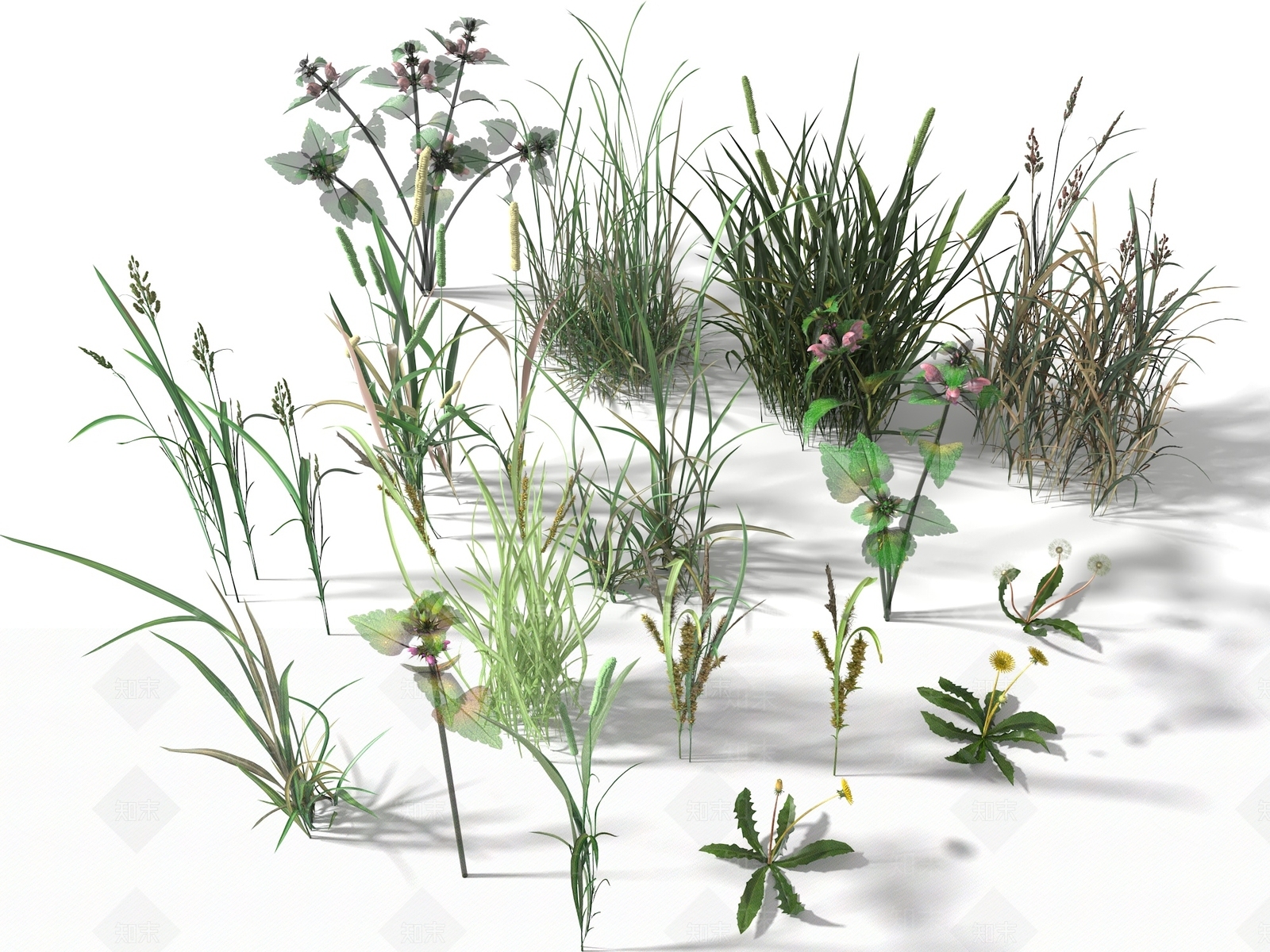 花草组合3D模型下载【ID:1115933257】