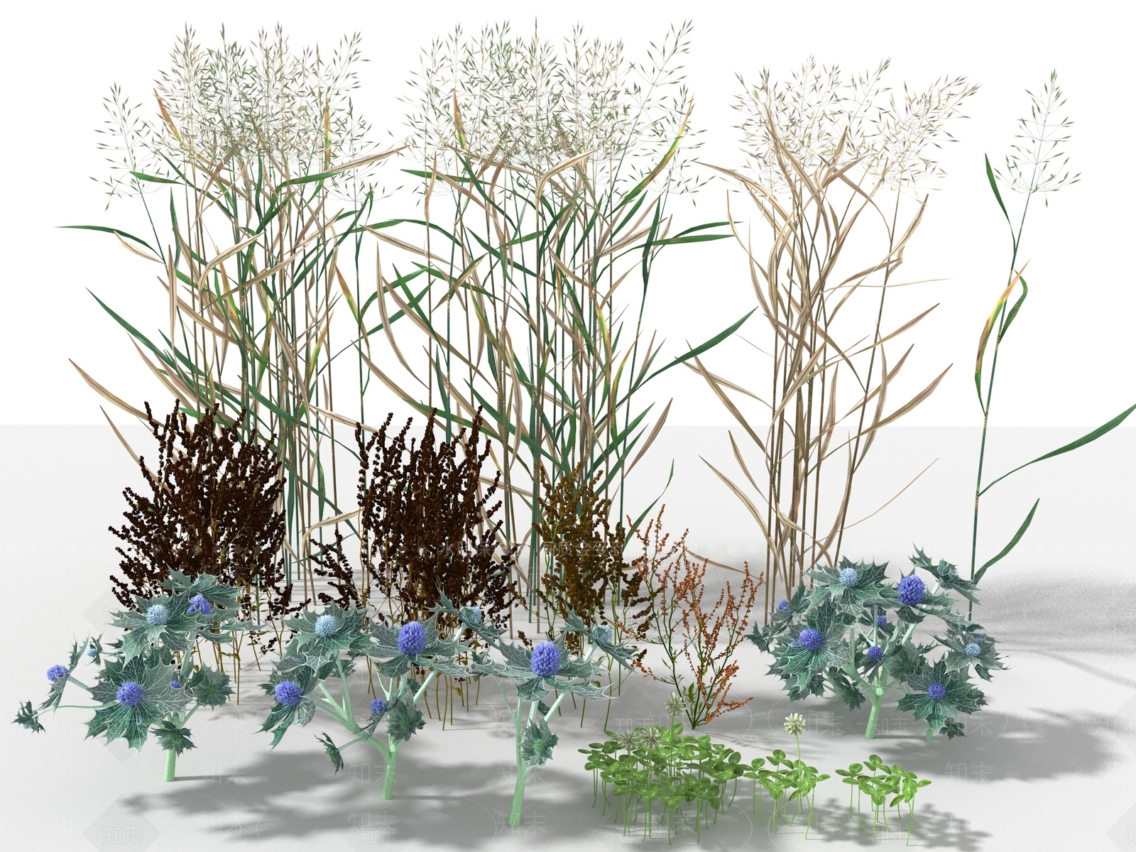 花草组合3D模型下载【ID:1115938915】