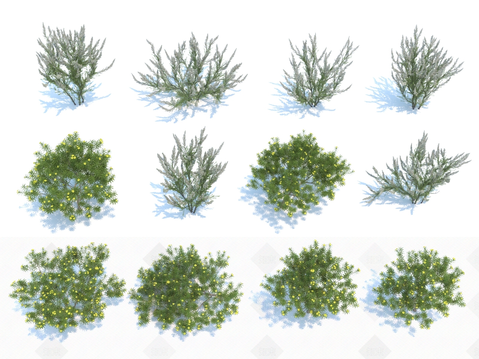 花草组合3D模型下载【ID:1115948743】
