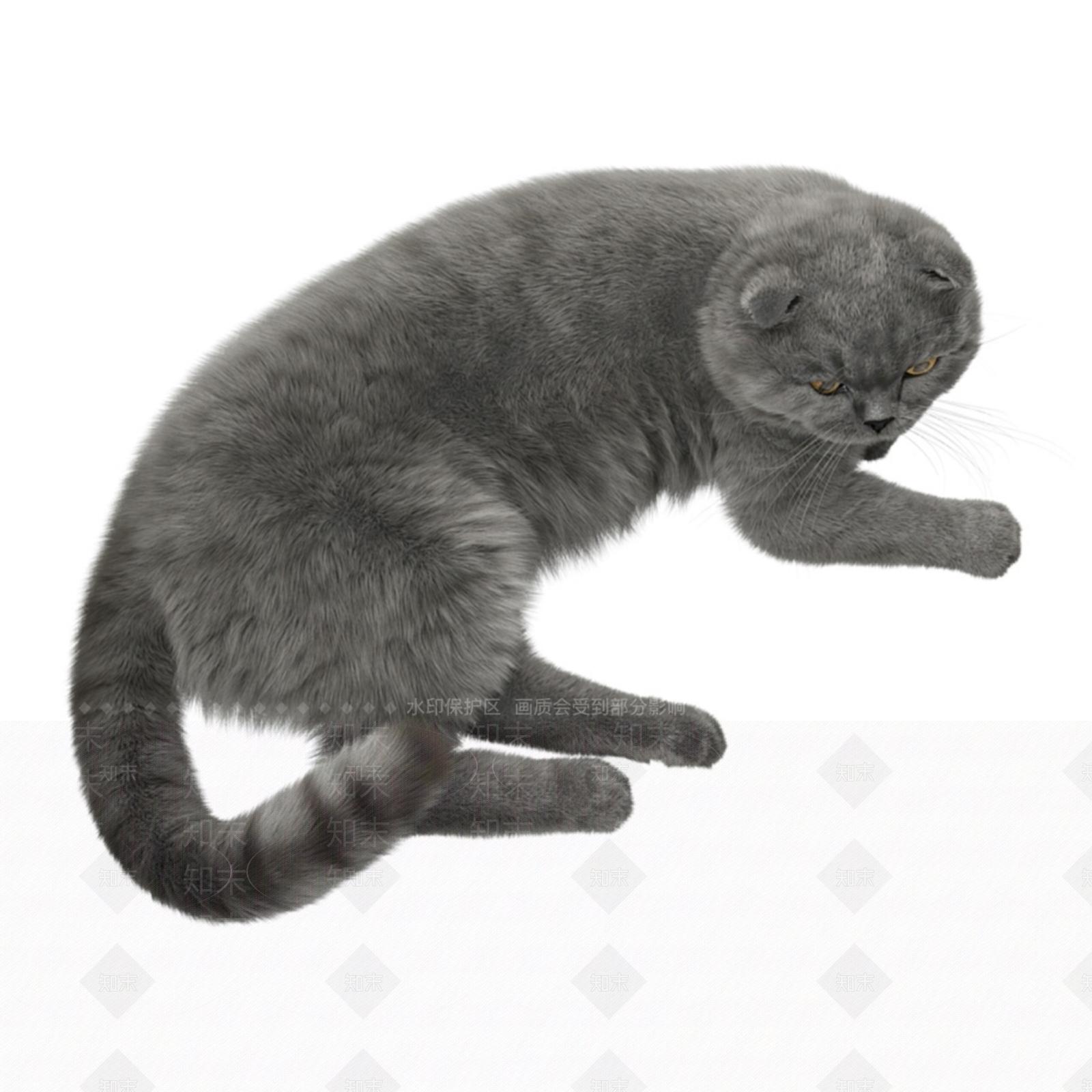 现代宠物猫SU模型下载【ID:1116000079】