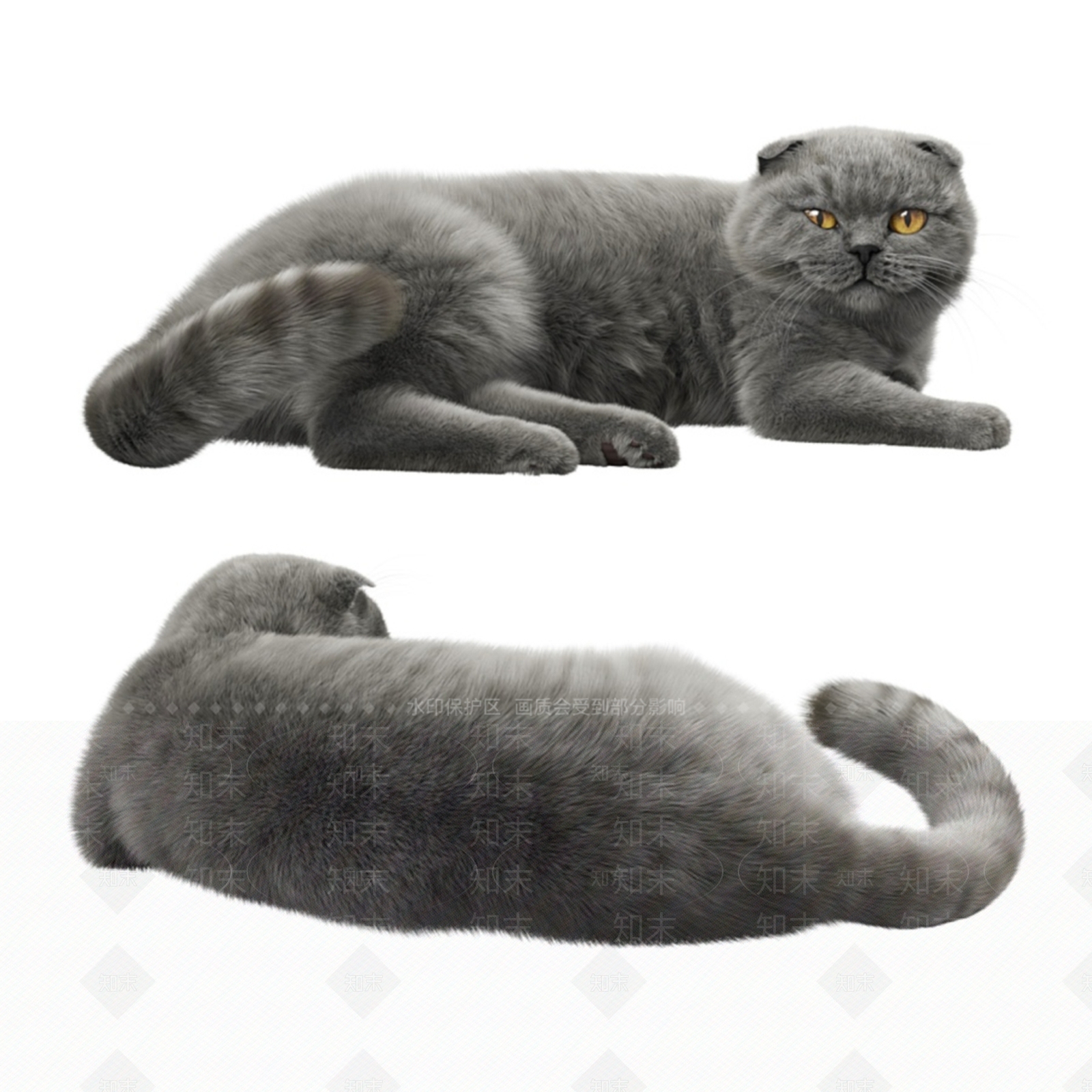 现代宠物猫SU模型下载【ID:1116000079】