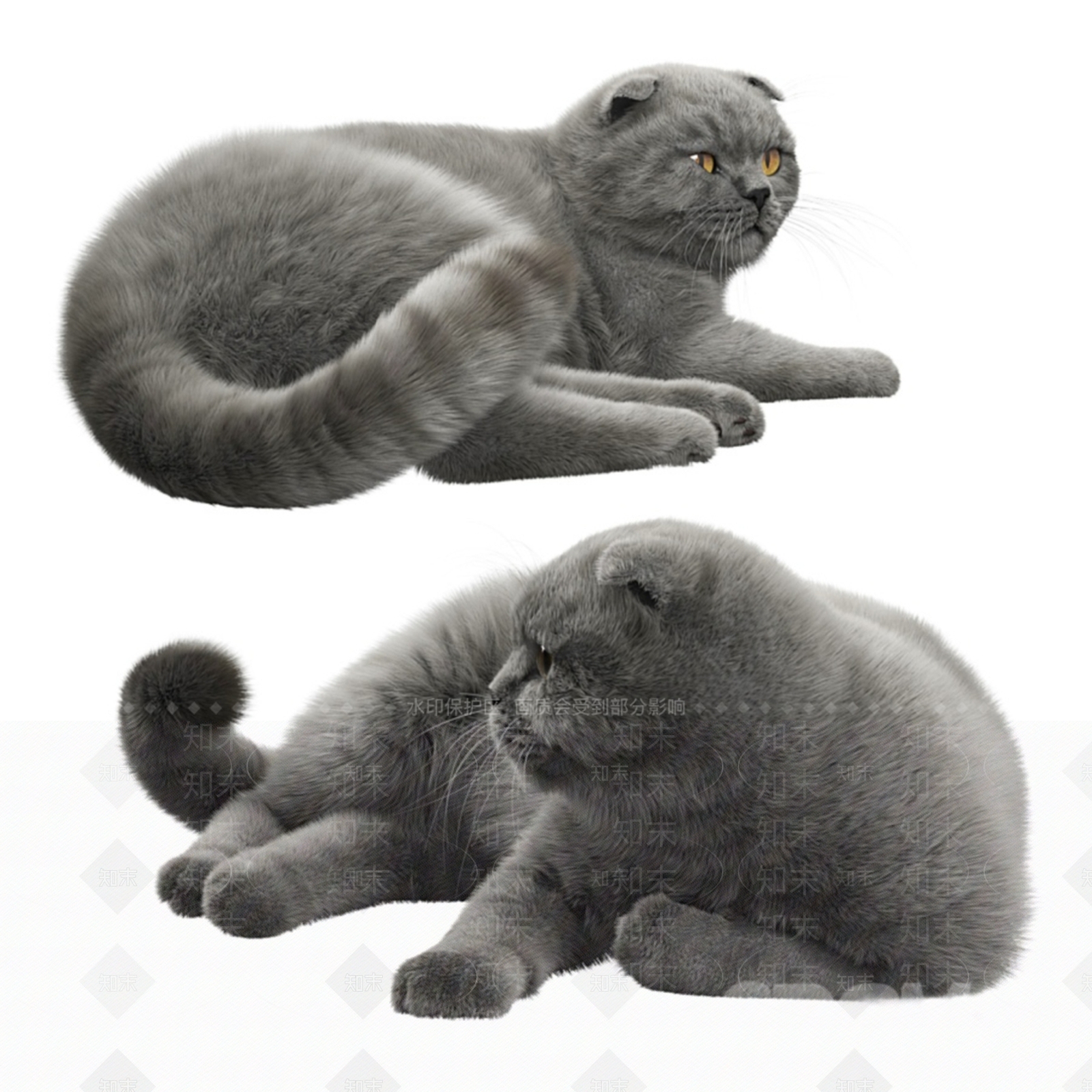 现代宠物猫SU模型下载【ID:1116000079】