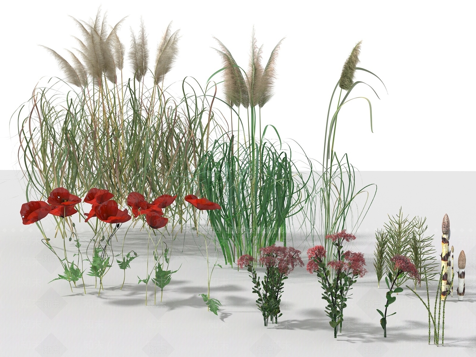 花草3D模型下载【ID:1116072615】