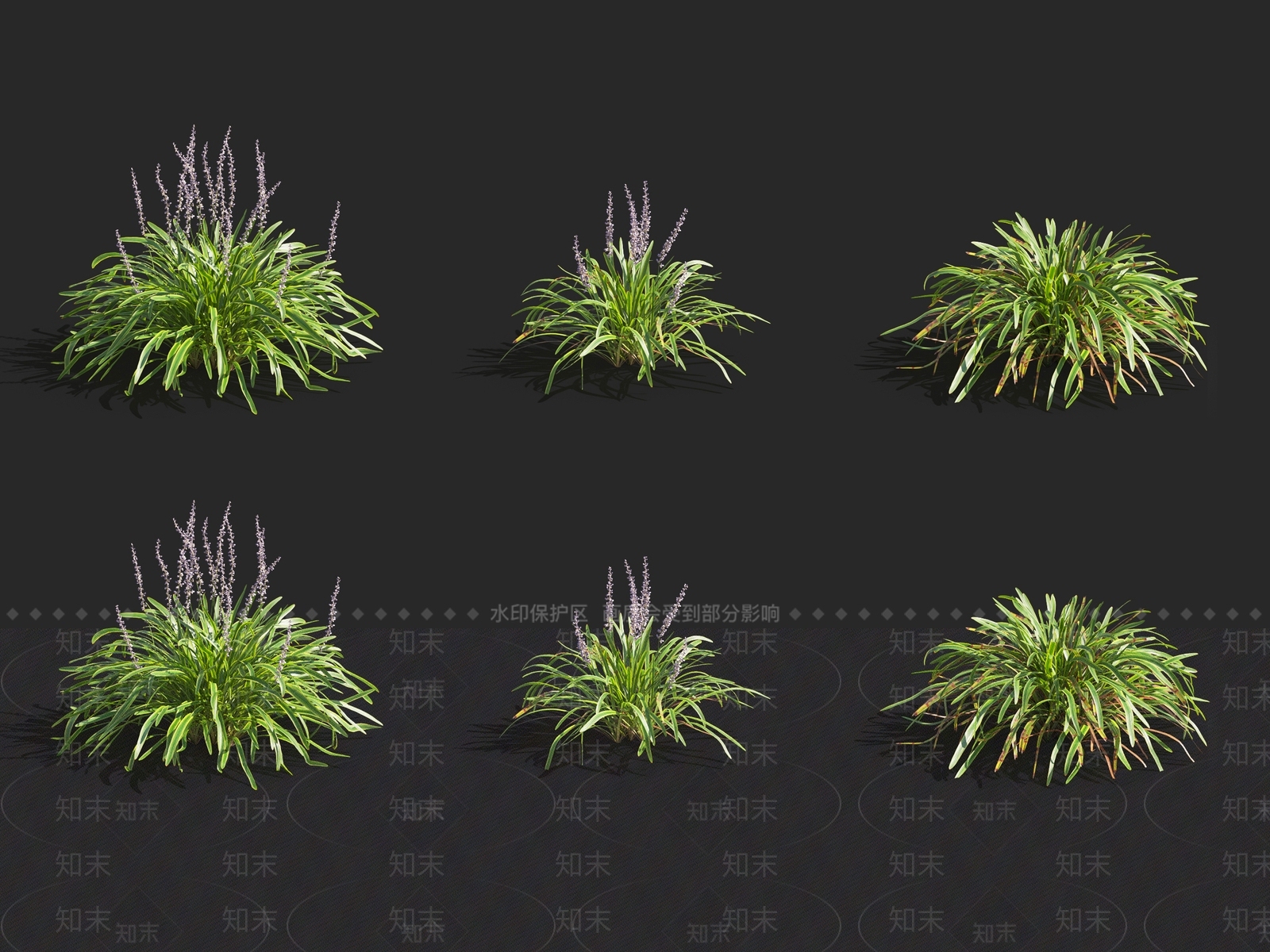 斑鸠菊3D模型下载【ID:1116149100】