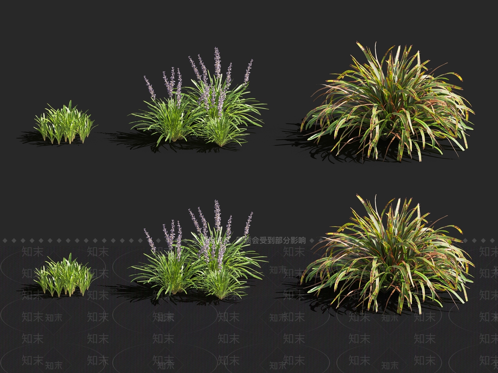 斑鸠菊3D模型下载【ID:1116149460】