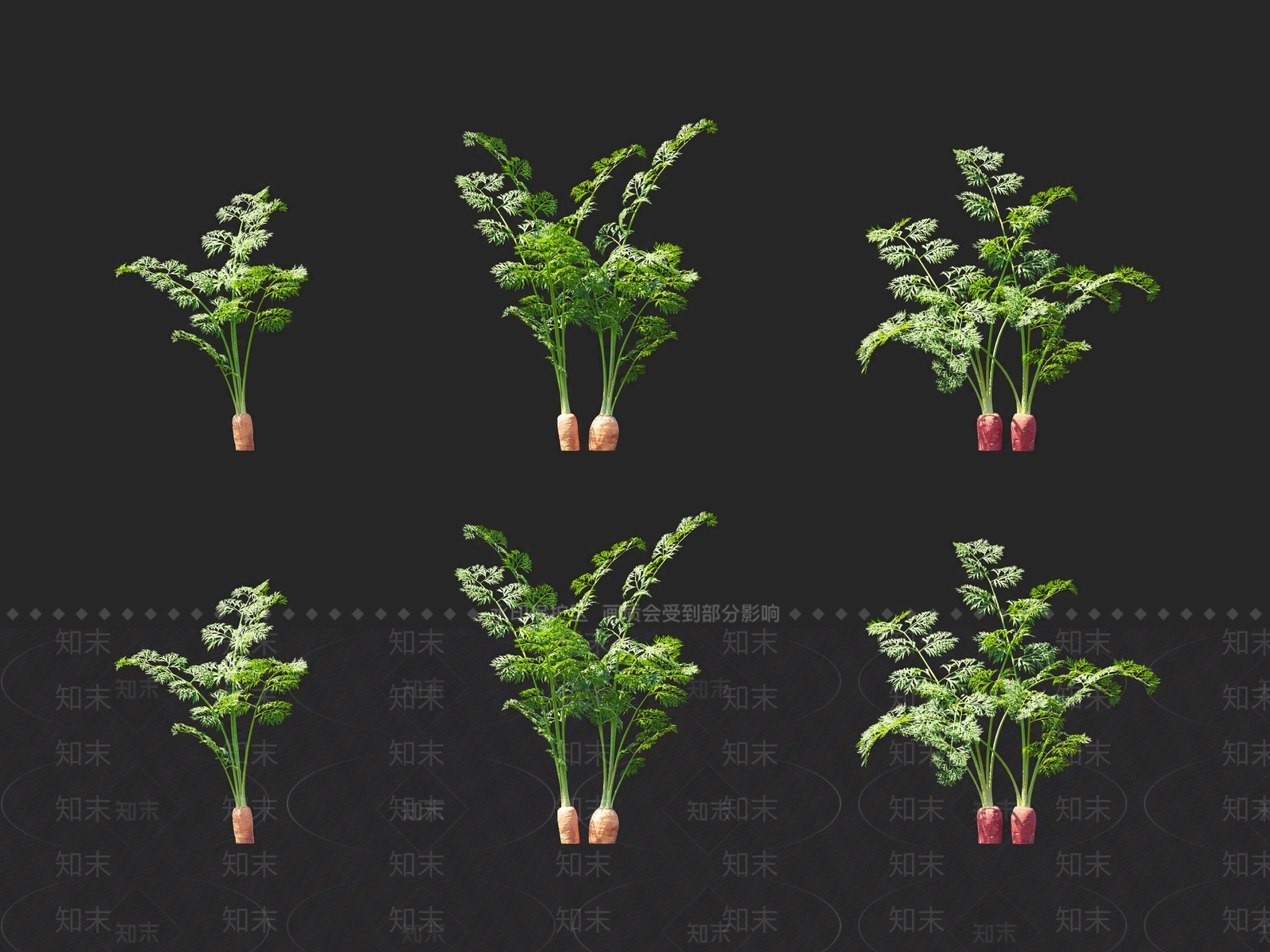 胡萝卜3D模型下载【ID:1116217280】
