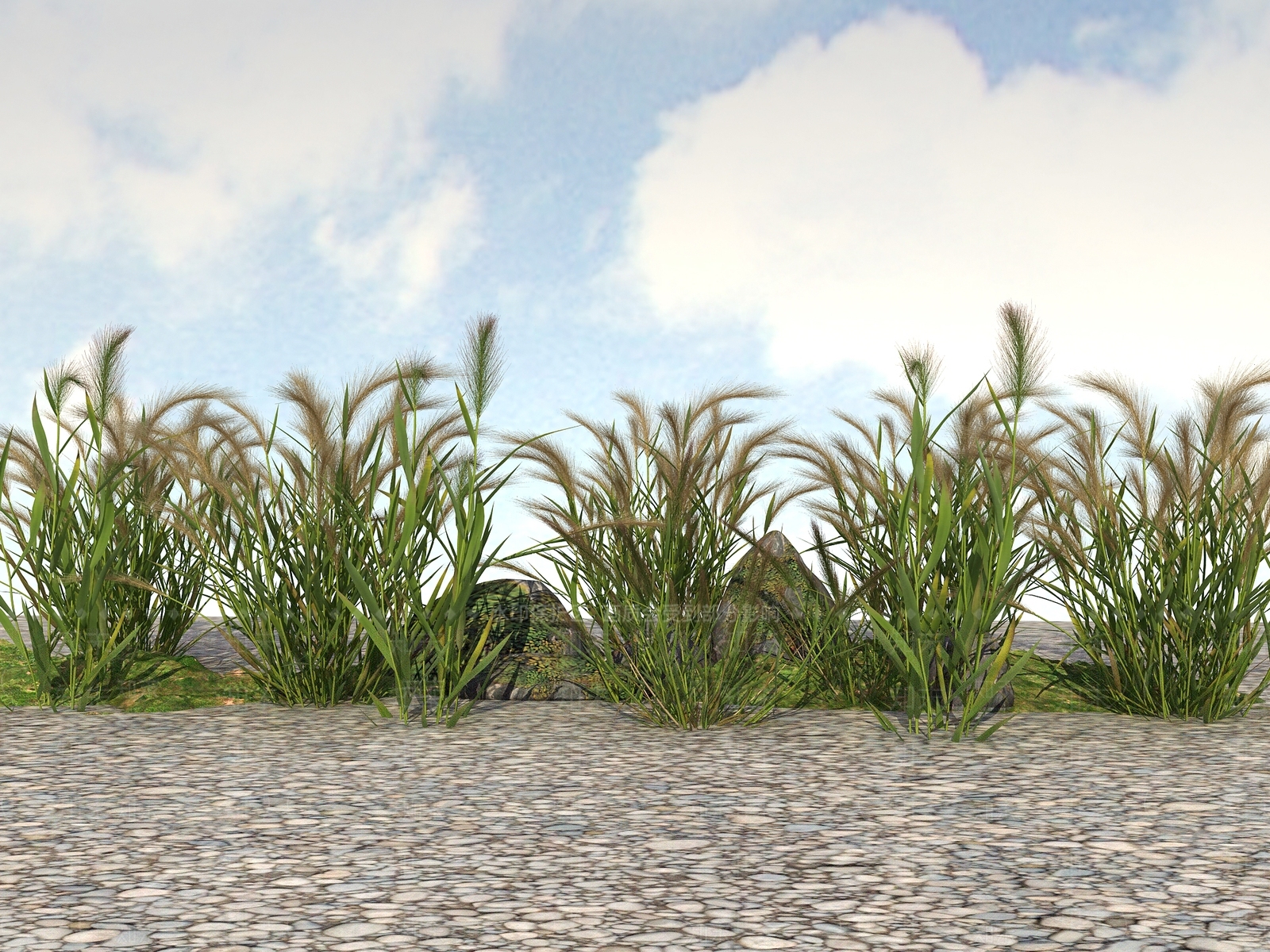 草3D模型下载【ID:1116318394】