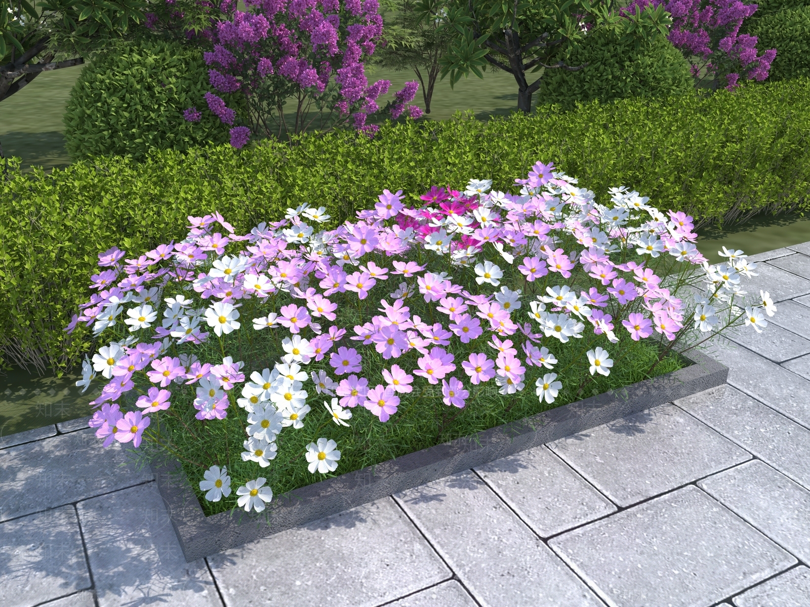 波斯菊3D模型下载【ID:1116375687】