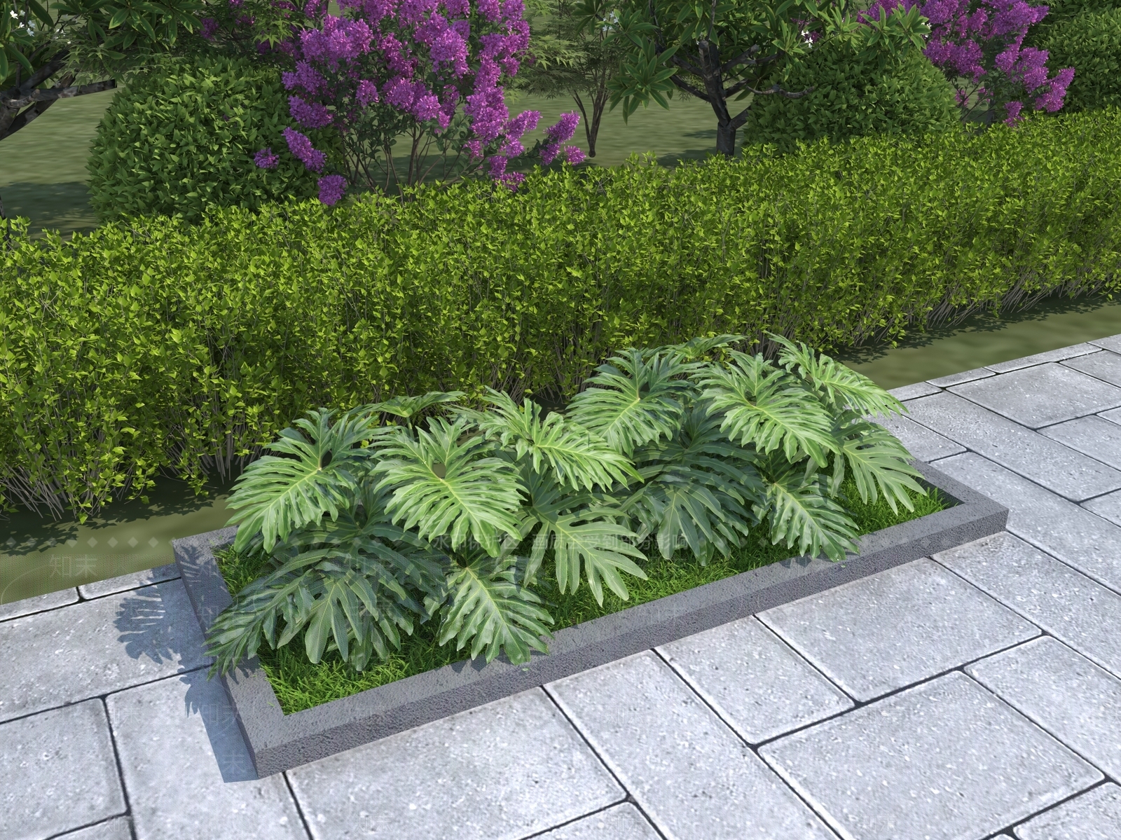 植物3D模型下载【ID:1116381742】