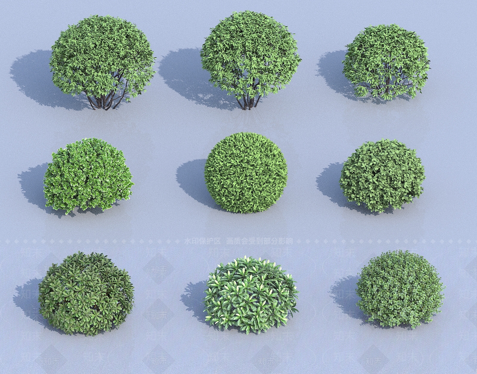 球形灌木3D模型下载【ID:1116512880】