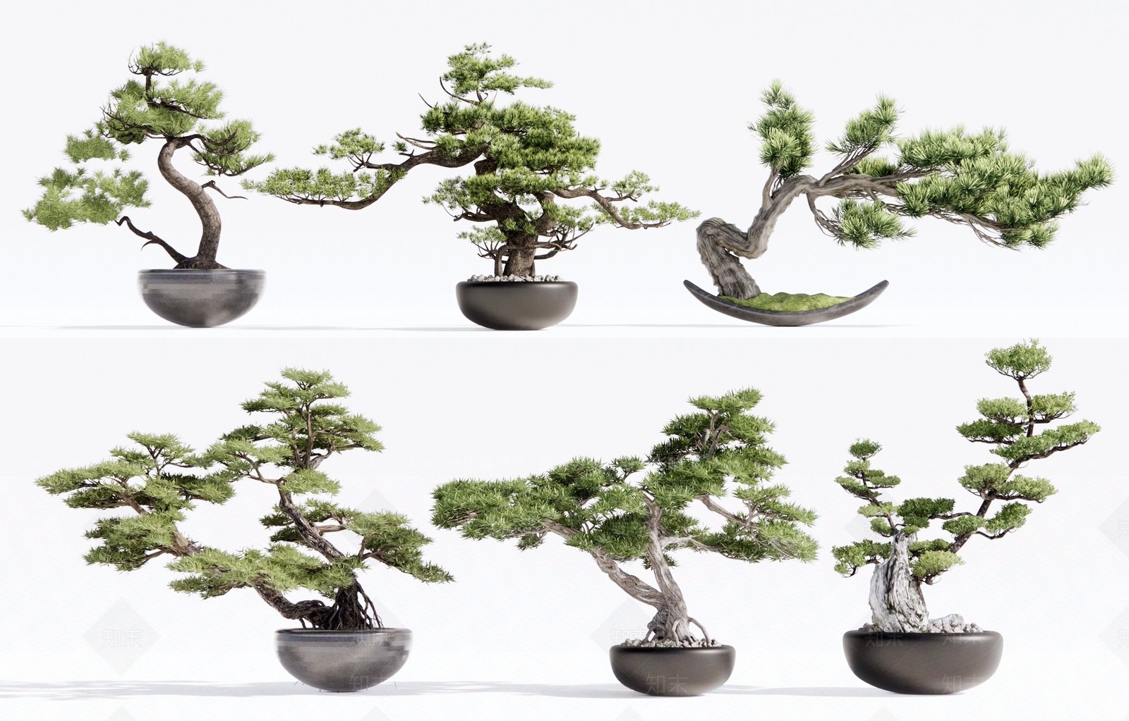 新中式松树盆栽SU模型下载【ID:1116743825】