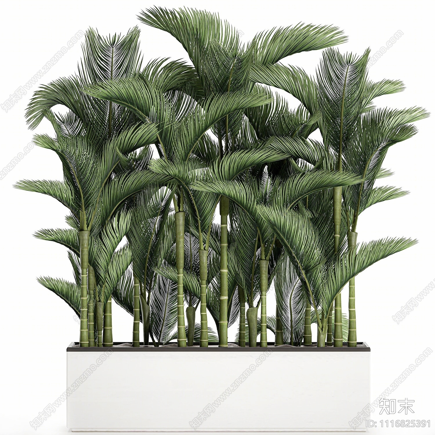 植物堆3D模型下载【ID:1116825391】