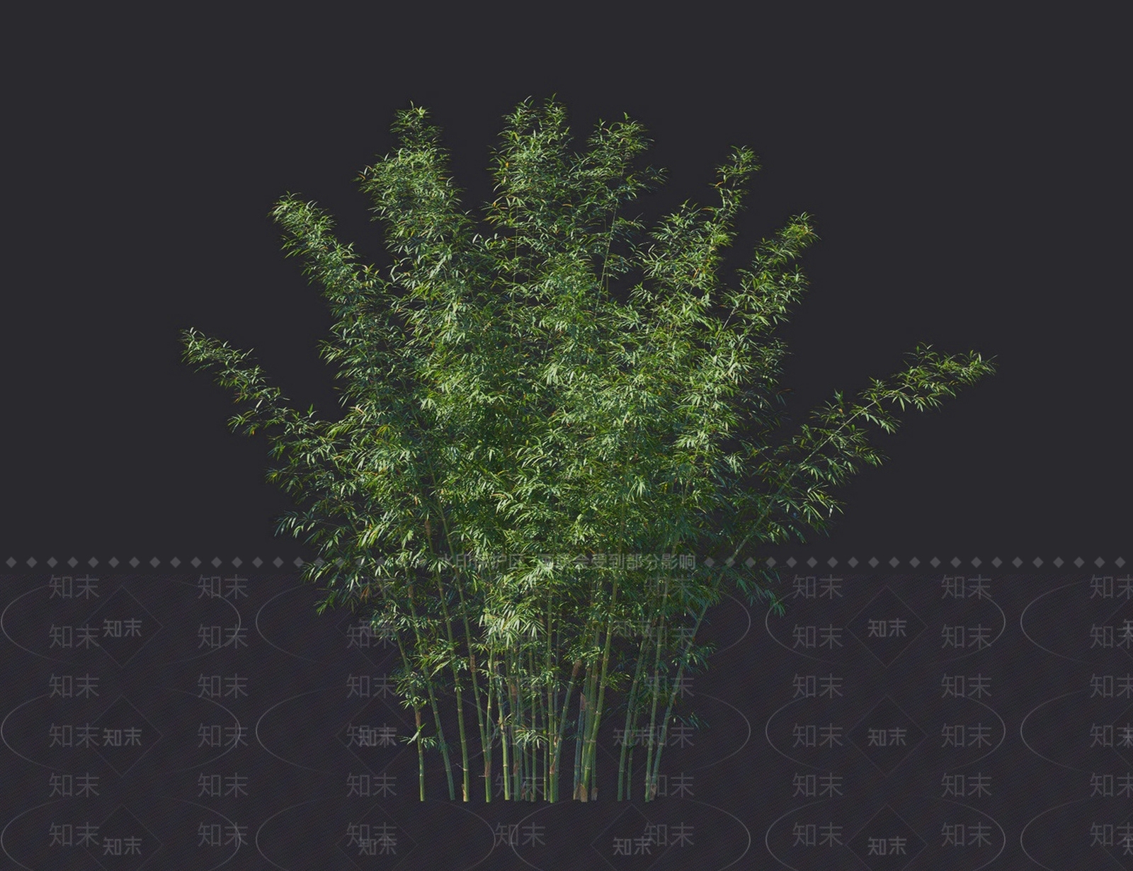 竹子3D模型下载【ID:1116856849】