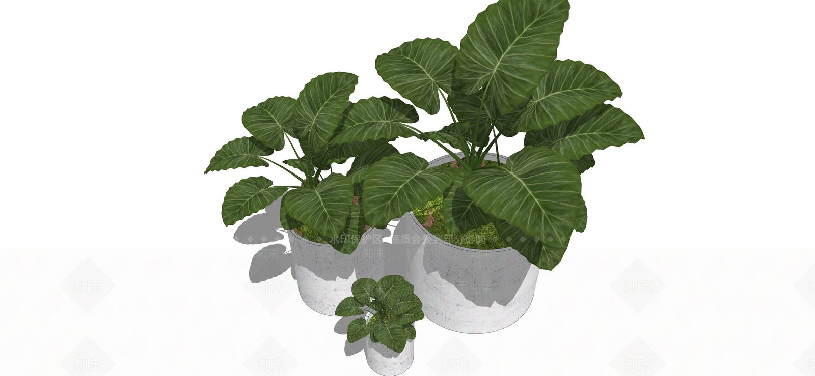 植物盆栽SU模型下载【ID:1116958184】