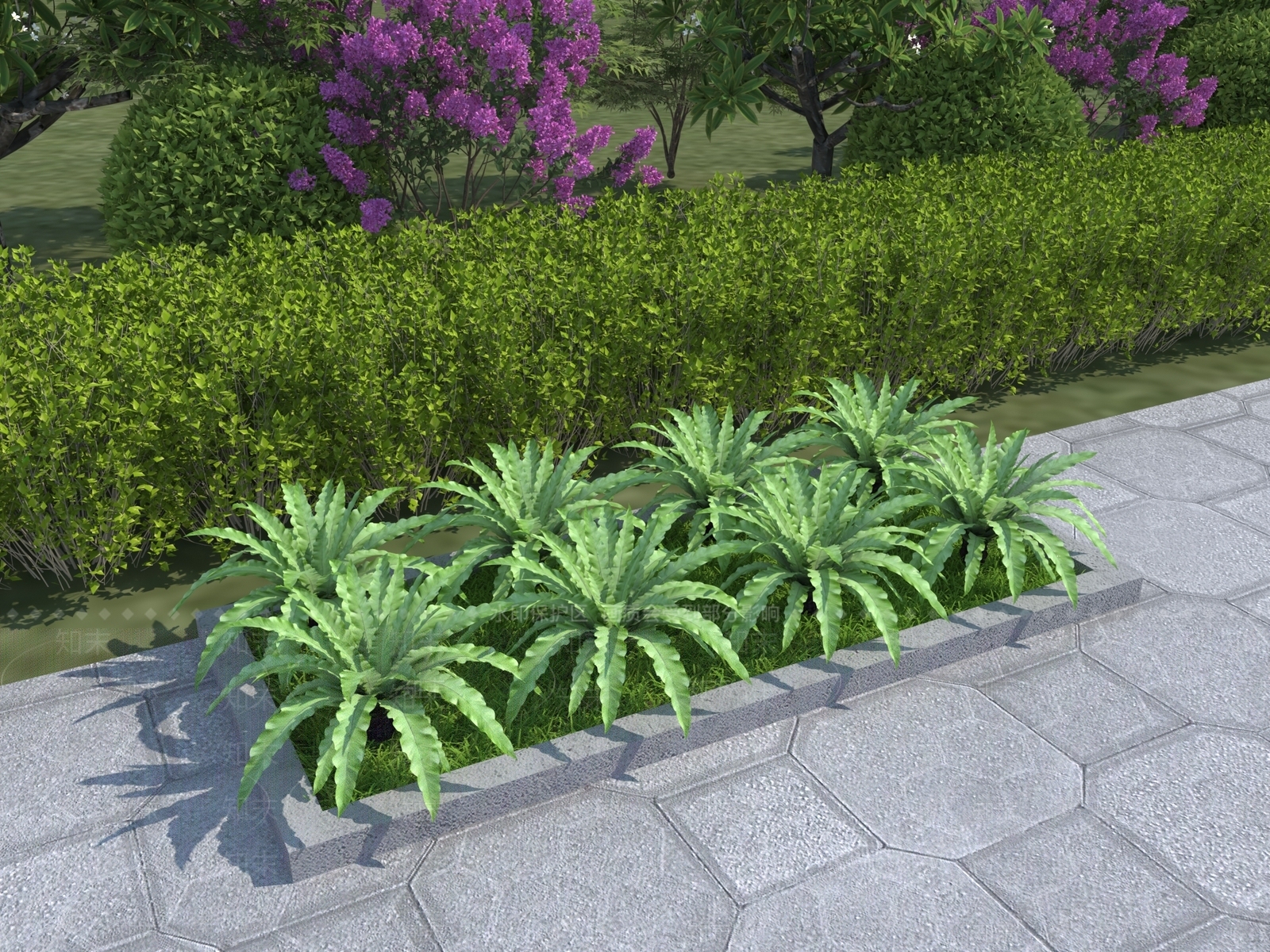 植物3D模型下载【ID:1116866363】