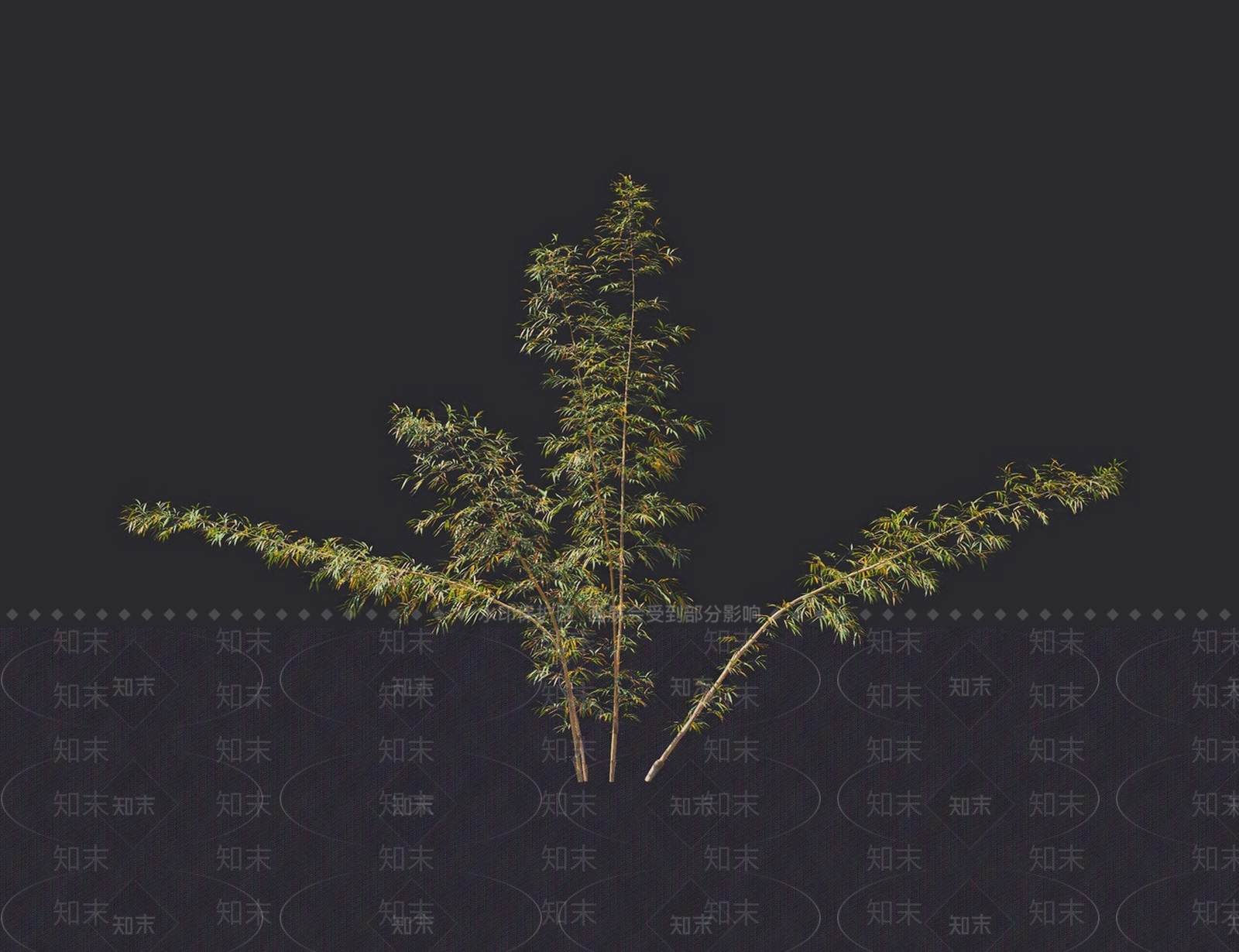 竹子3D模型下载【ID:1116917534】