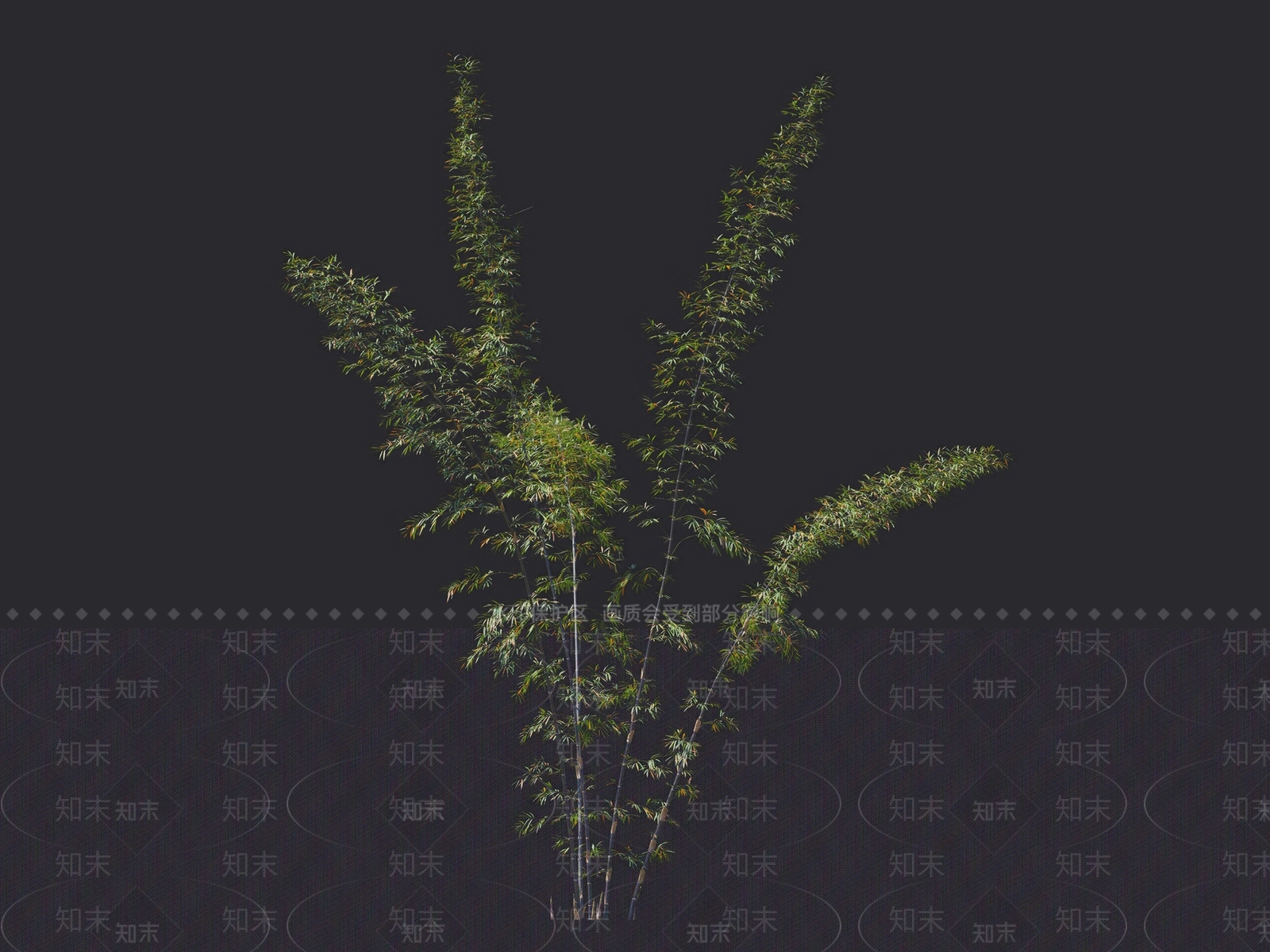 竹子3D模型下载【ID:1116926637】