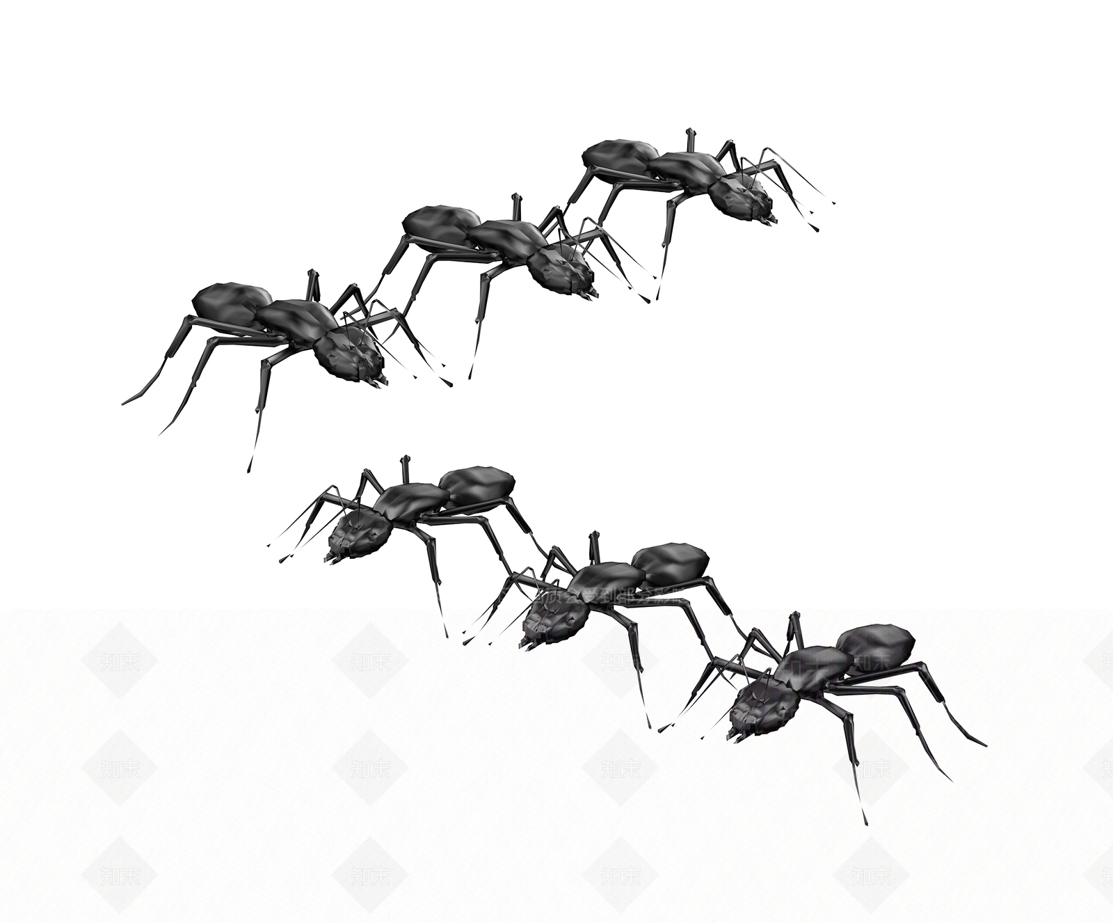 蚂蚁3D模型下载【ID:1116978380】
