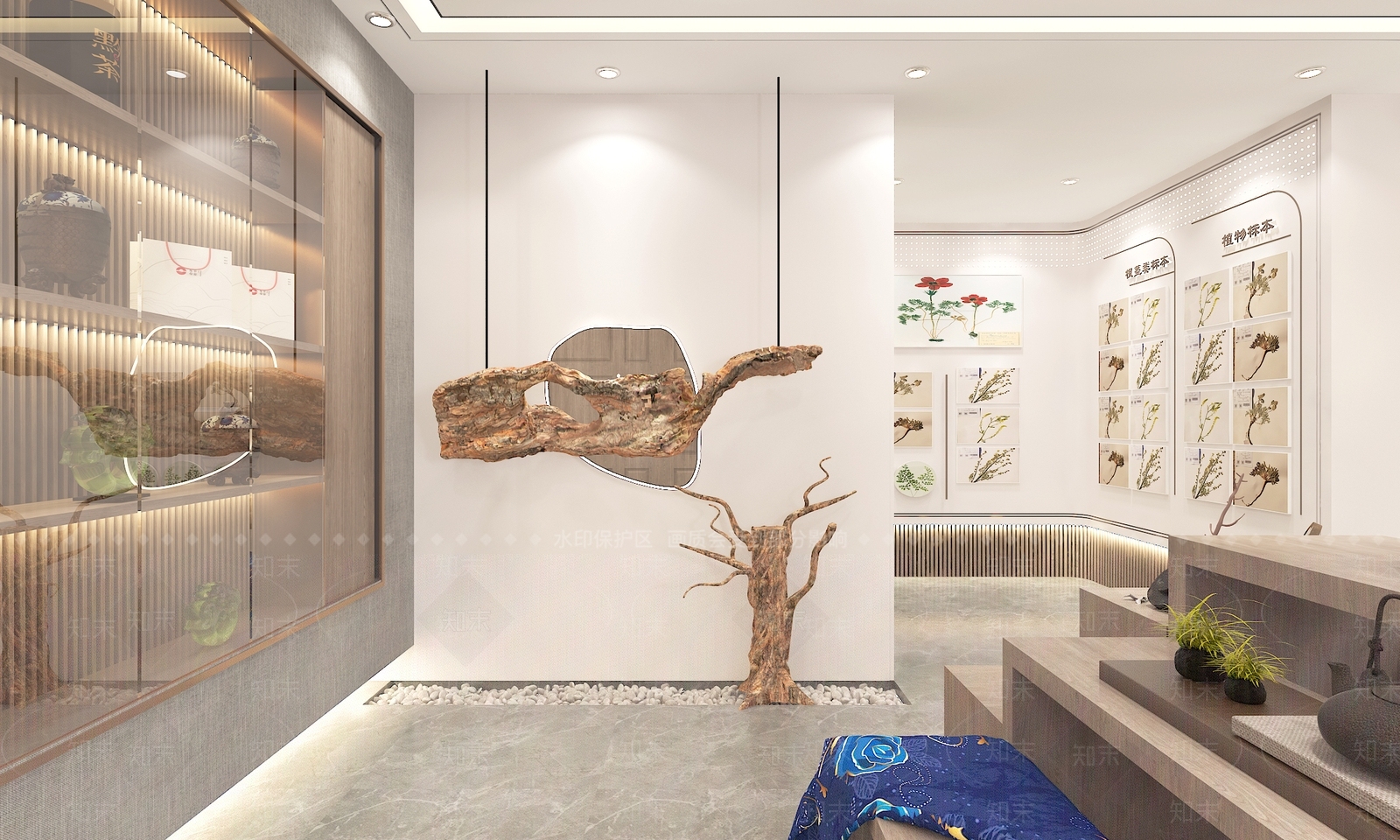 现代植物标本展厅3D模型下载【ID:1117041364】