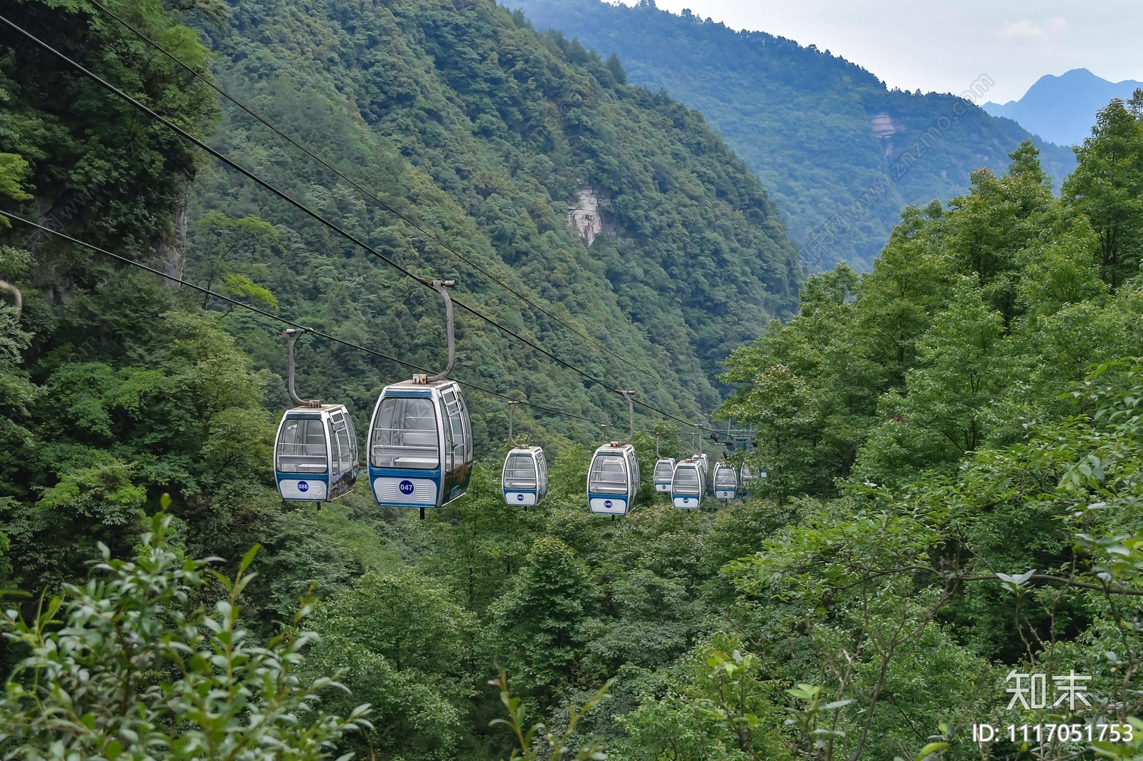 缆车索道山谷峡谷森林贴图下载【ID:1117051753】