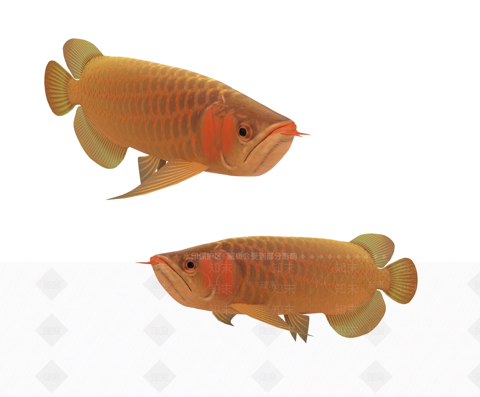 金鱼3D模型下载【ID:1117085485】