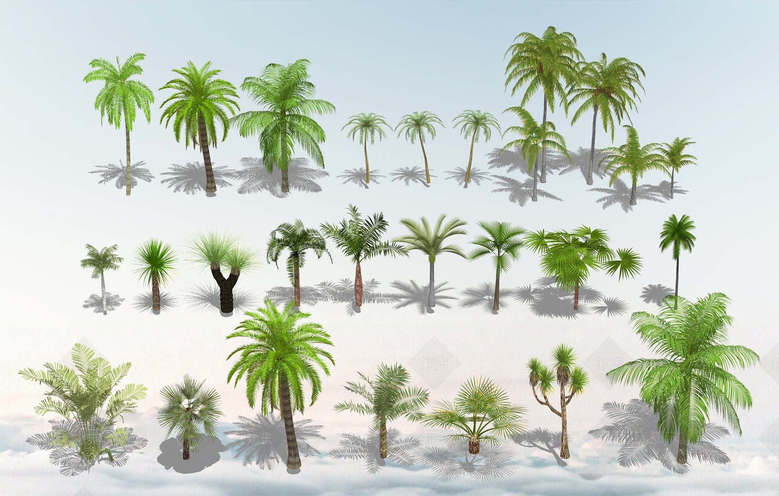 热带树SU模型下载【ID:1117130064】