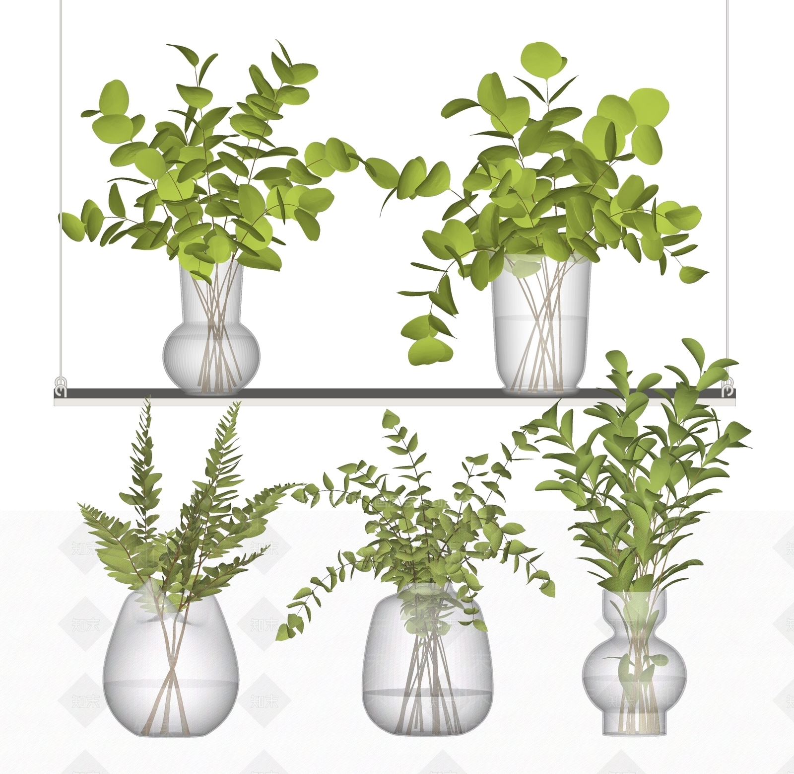 现代水生植物SU模型下载【ID:1117183968】