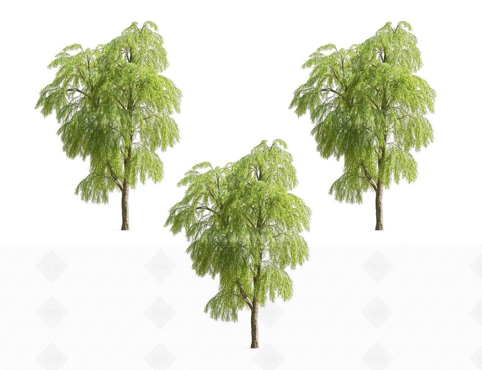 柳树3D模型下载【ID:1117257277】