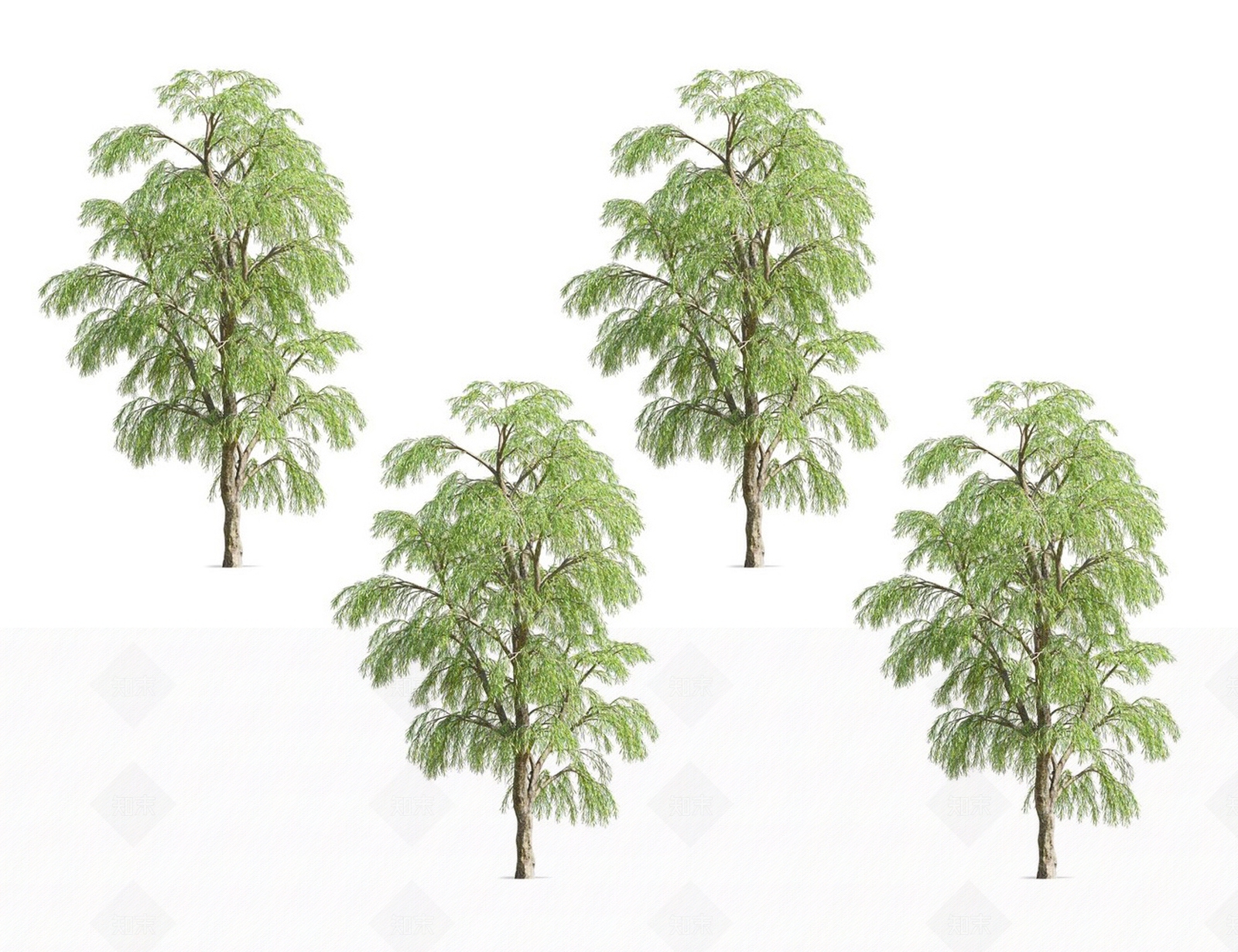 柳树3D模型下载【ID:1117257266】