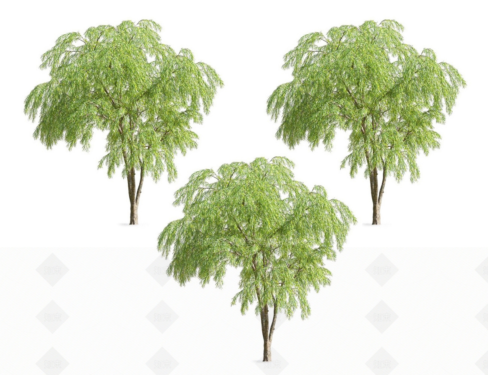 柳树3D模型下载【ID:1117257285】