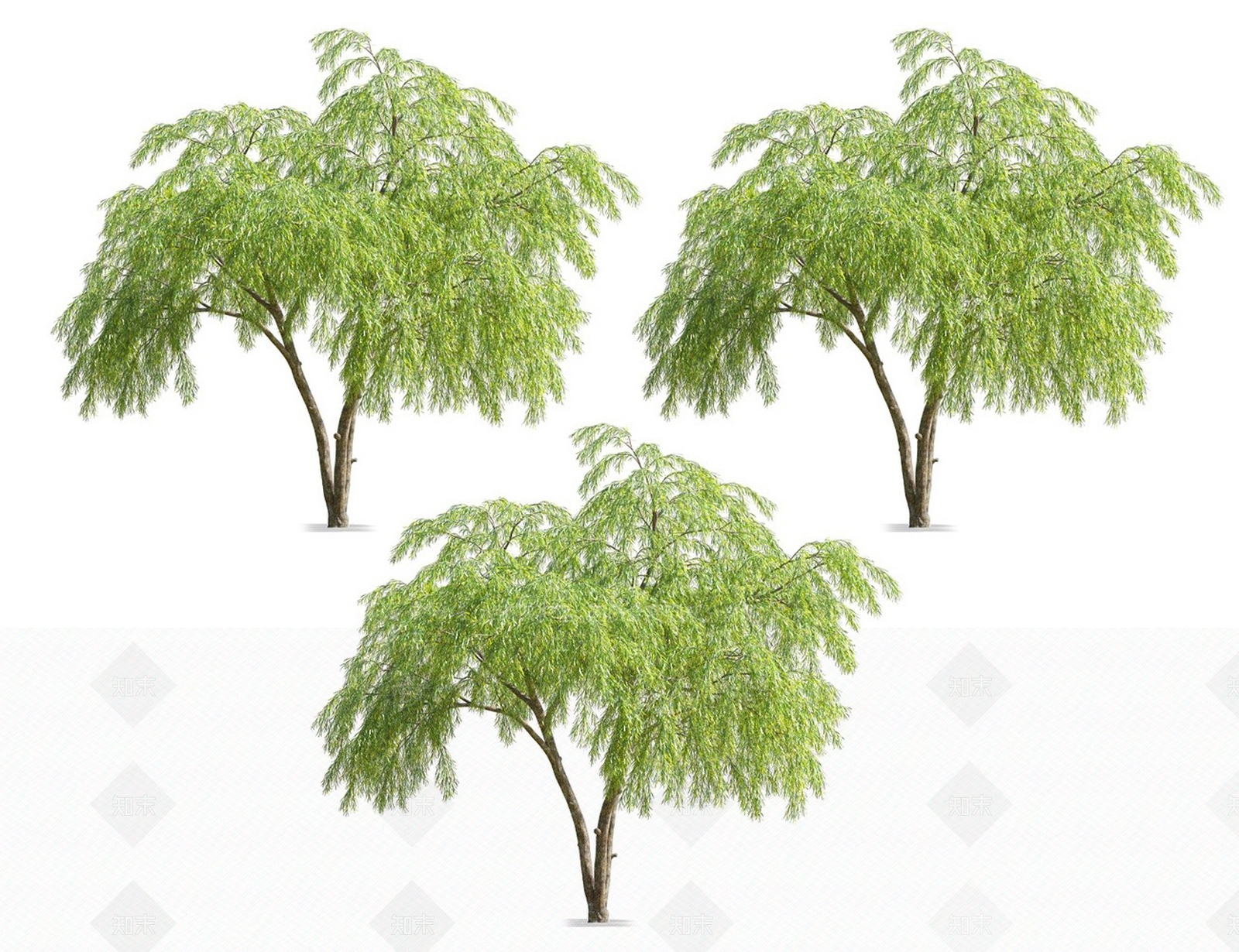 柳树3D模型下载【ID:1117257284】