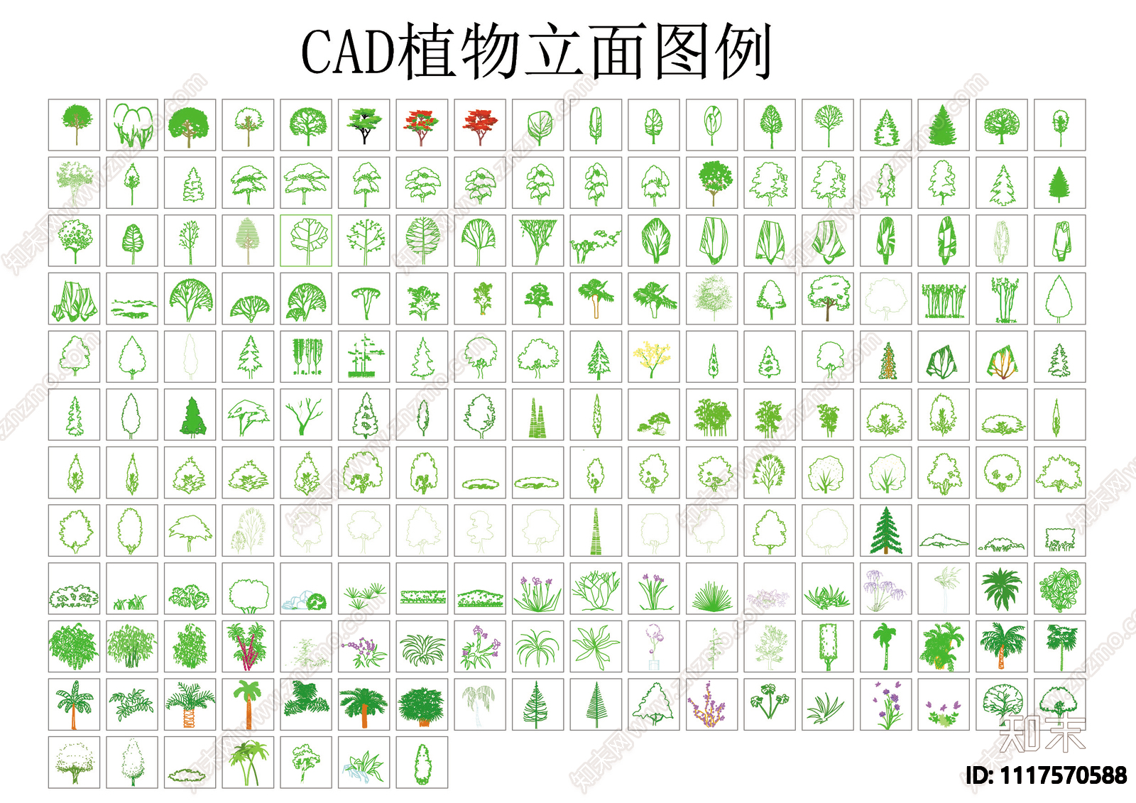 CAD植物立面图例施工图施工图下载【ID:1117570588】