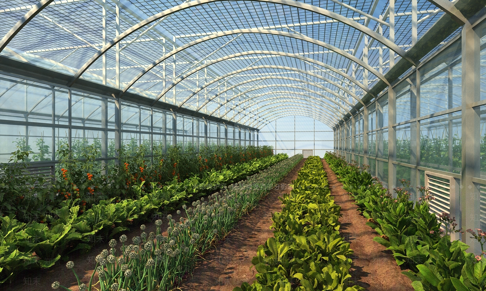 现代蔬菜大棚3D模型下载【ID:1117576272】