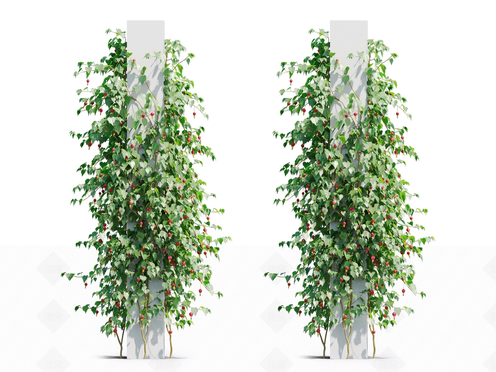 藤蔓植物3D模型下载【ID:1117662936】