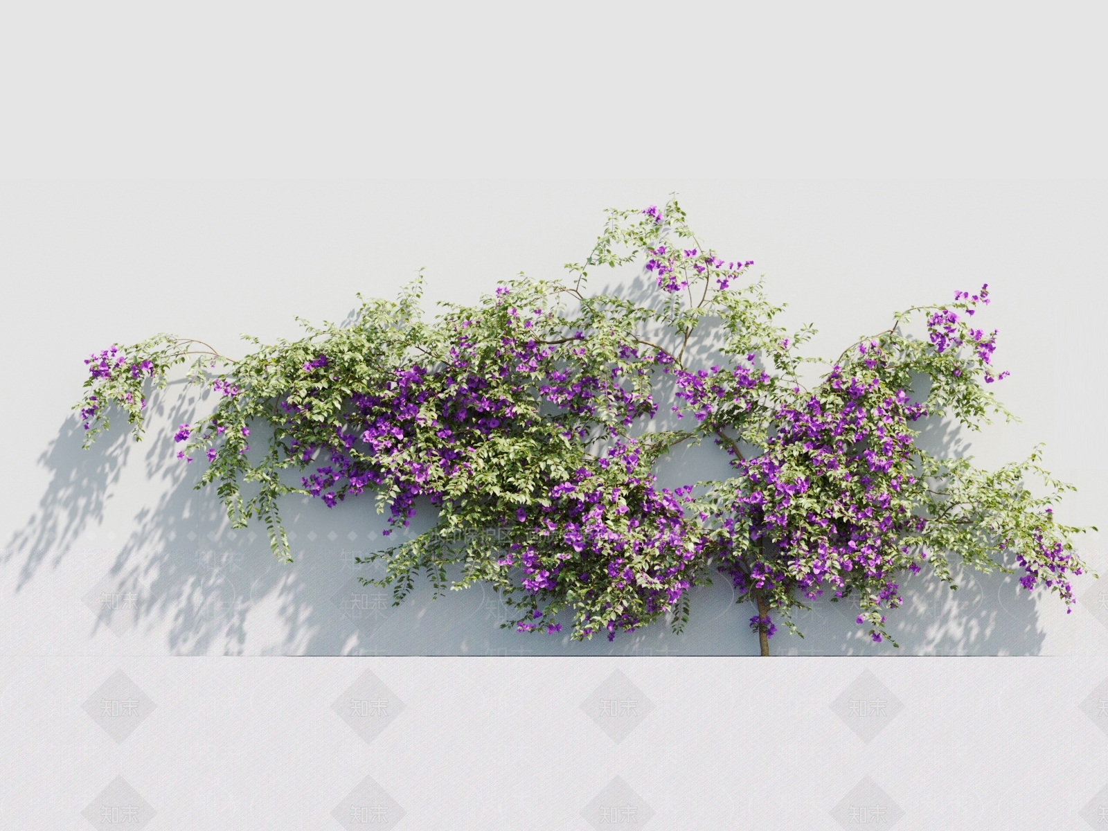 藤蔓植物3D模型下载【ID:1117664099】