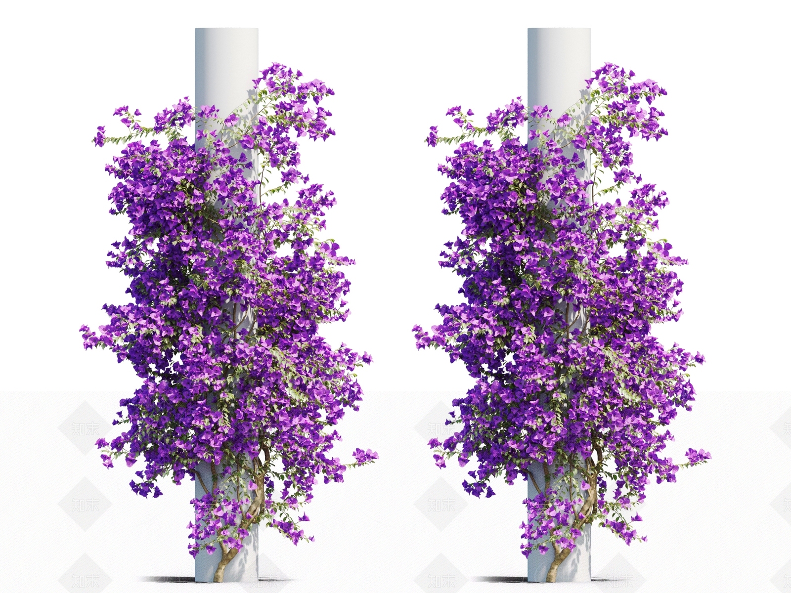 藤蔓植物3D模型下载【ID:1117664318】