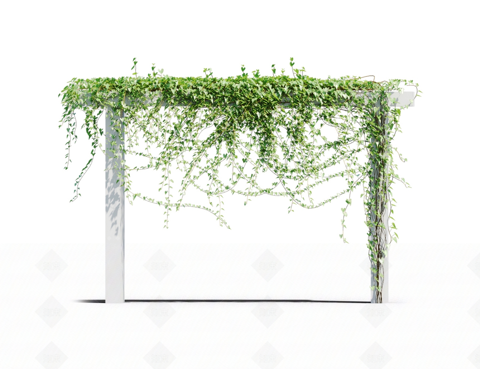 藤蔓植物3D模型下载【ID:1117664739】