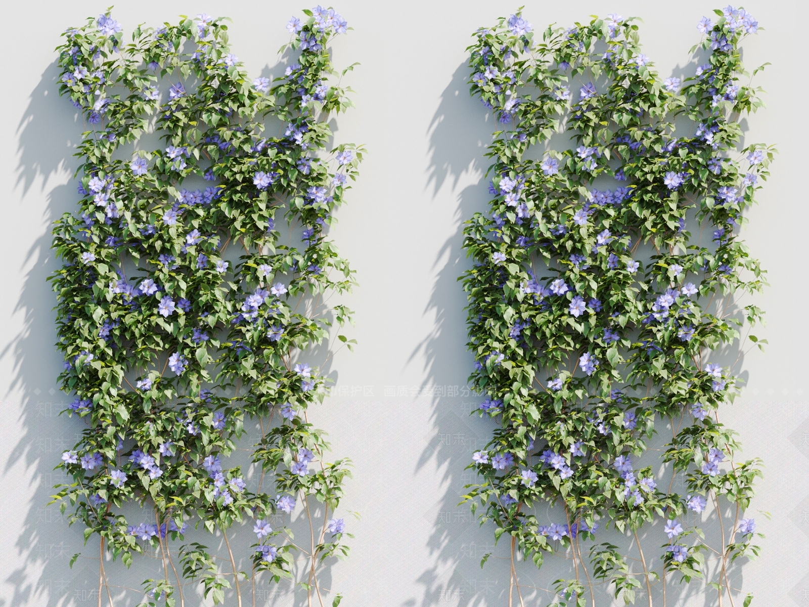 藤蔓植物3D模型下载【ID:1117665333】