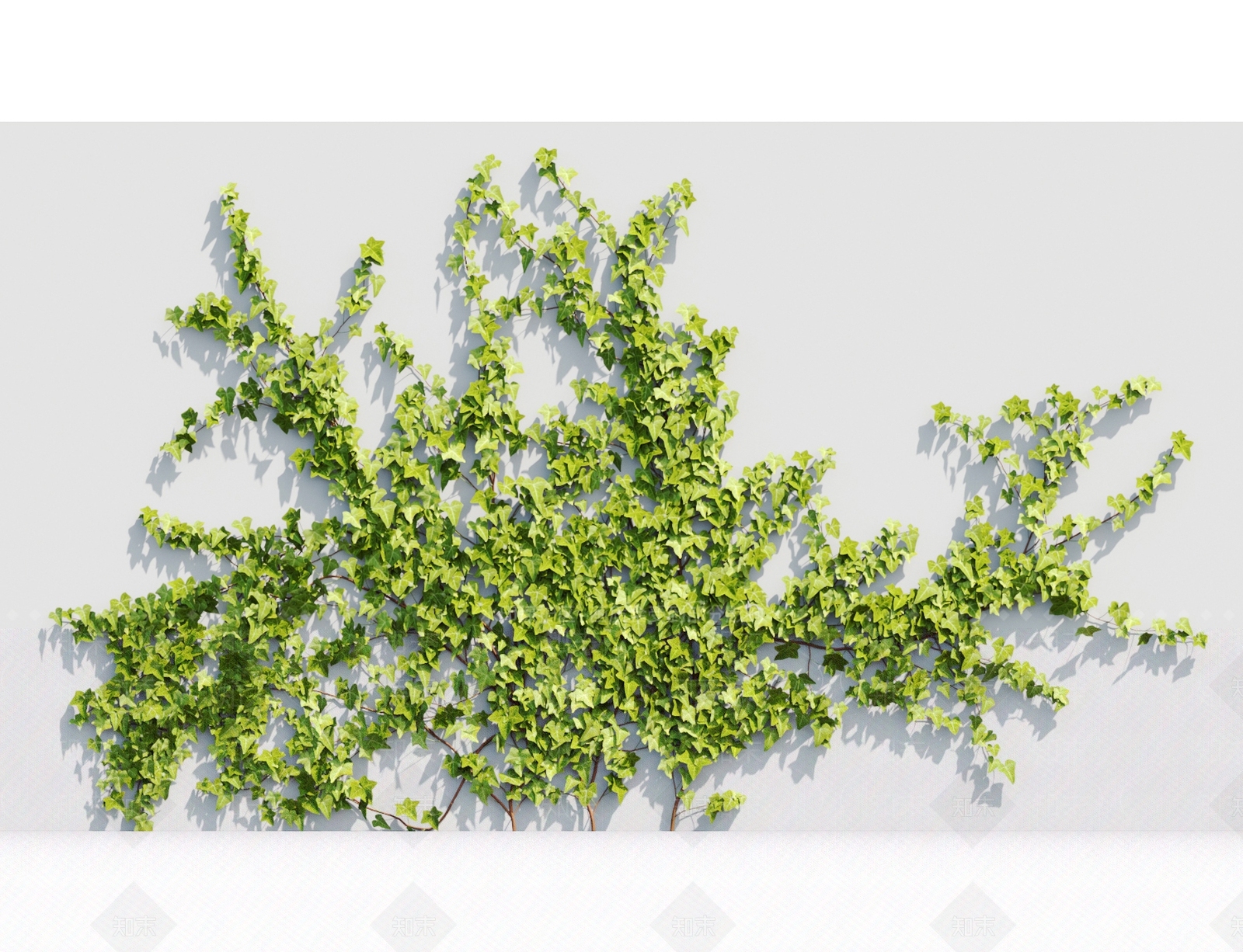 藤蔓植物3D模型下载【ID:1117665714】