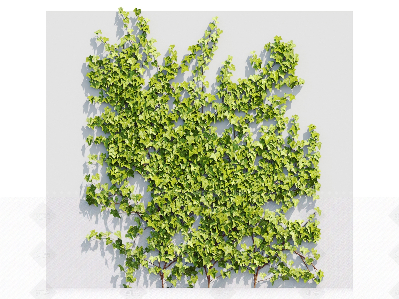 藤蔓植物3D模型下载【ID:1117665791】