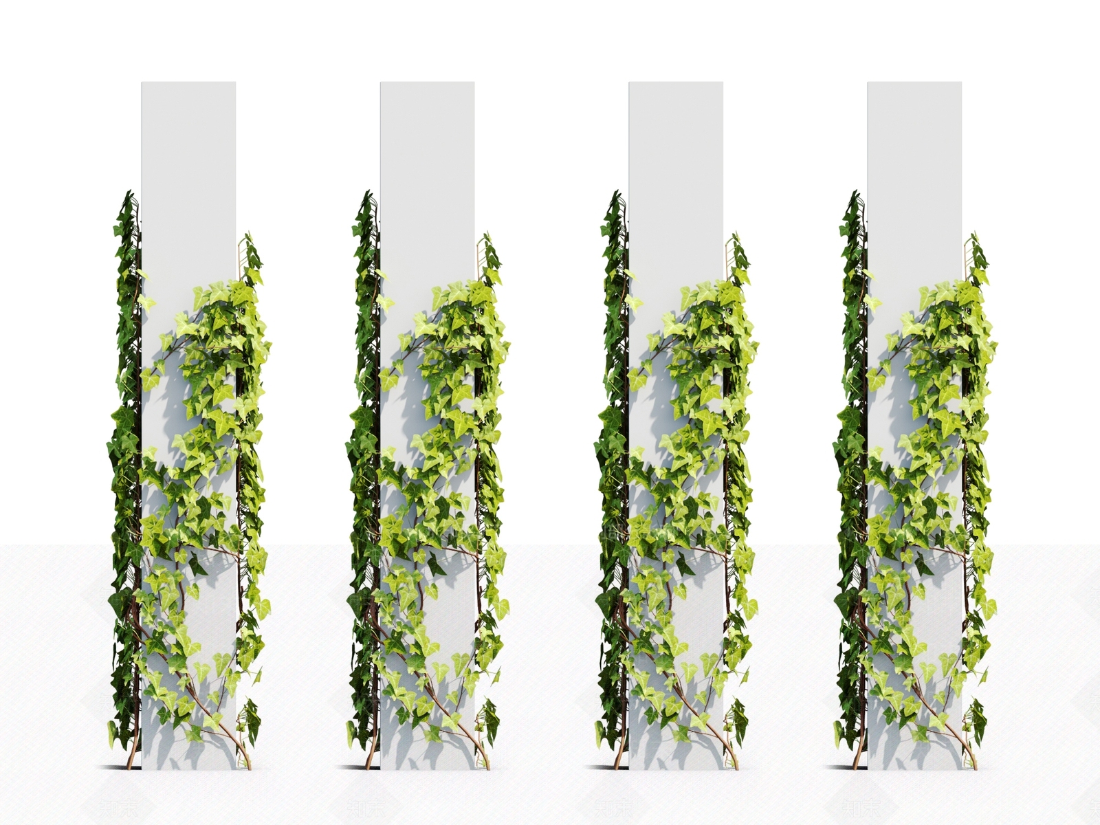 藤蔓植物3D模型下载【ID:1117665988】