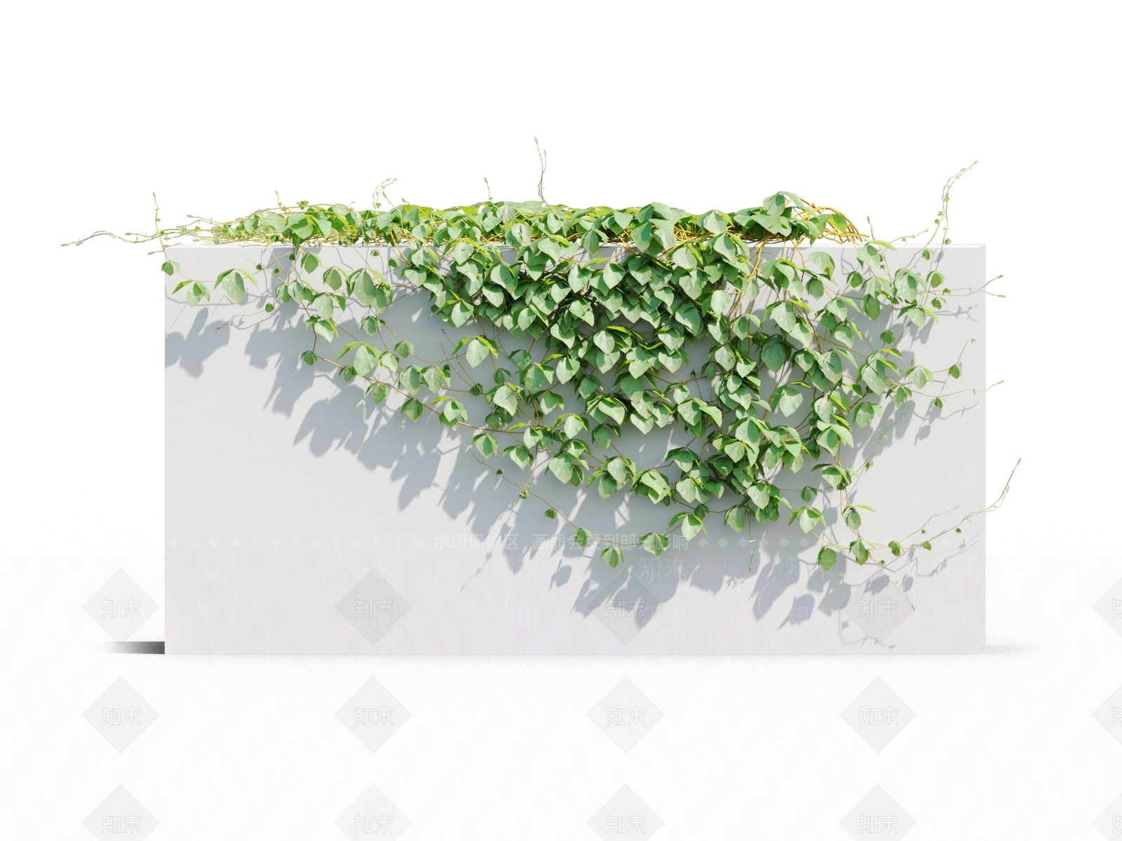 藤蔓植物3D模型下载【ID:1117667066】