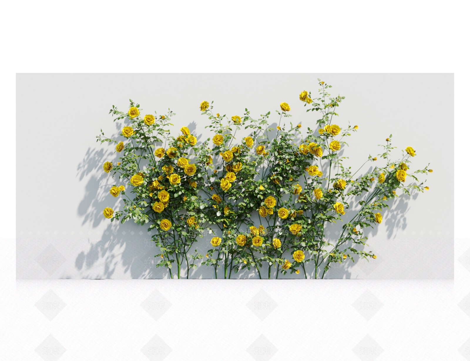 藤蔓植物3D模型下载【ID:1117667256】