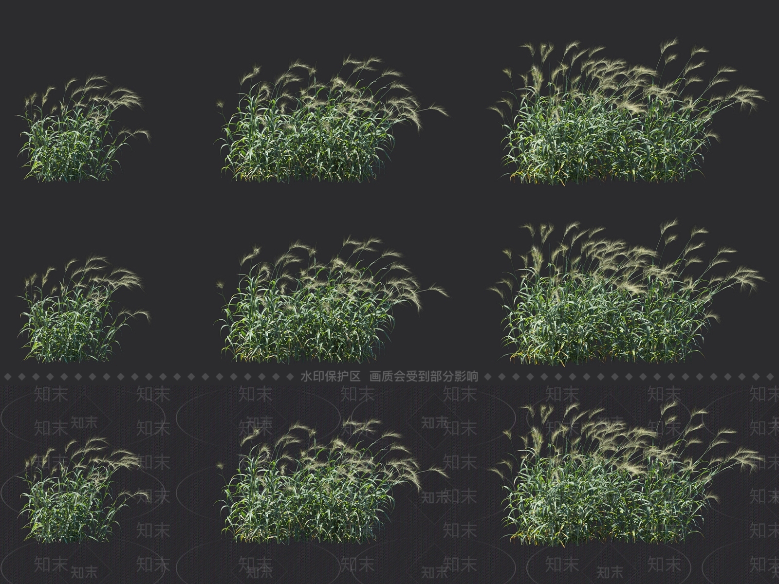 草3D模型下载【ID:1117706416】