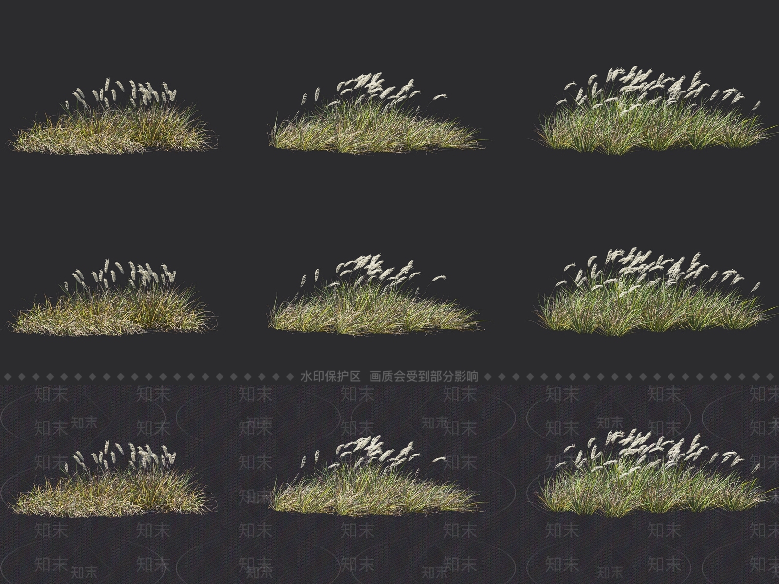 芦苇3D模型下载【ID:1117706605】