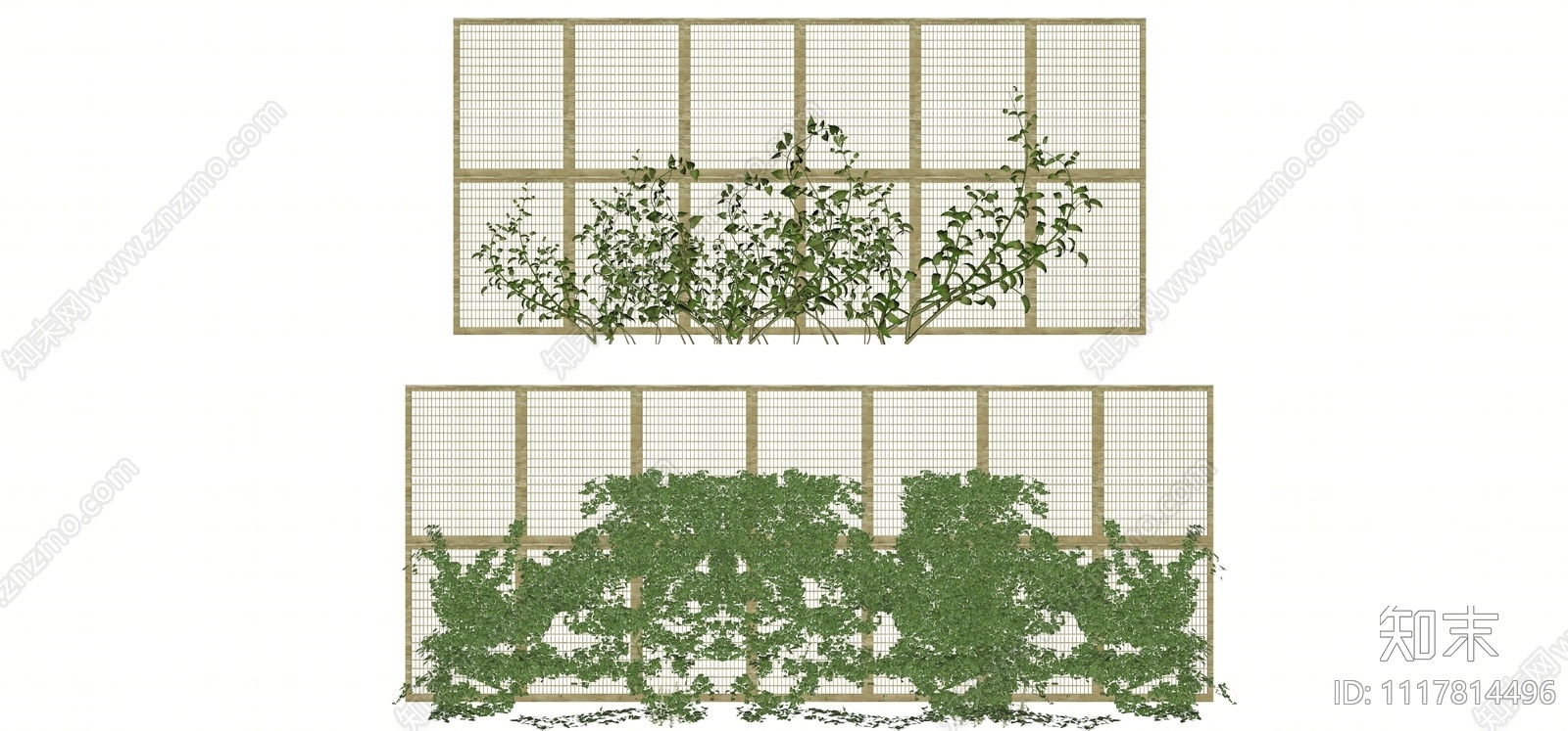 爬藤植物SU模型下载【ID:1117814496】