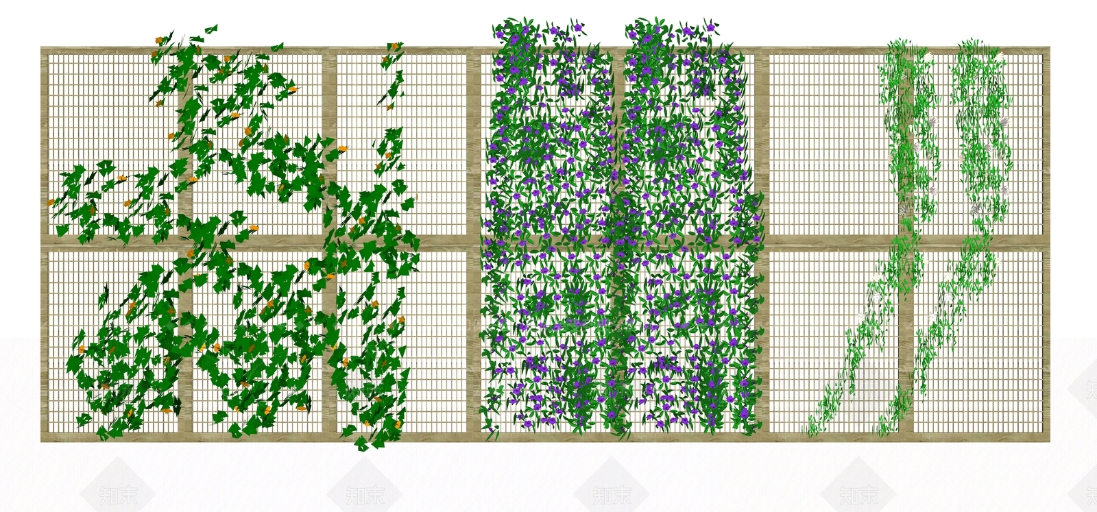 爬藤植物SU模型下载【ID:1117814932】