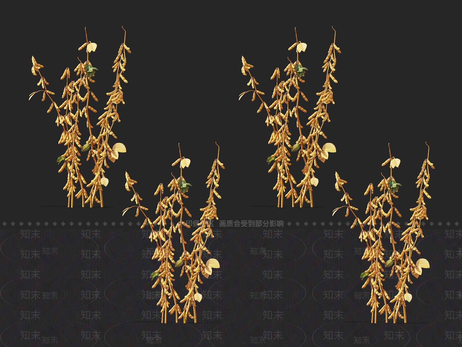 毛豆3D模型下载【ID:1117838029】